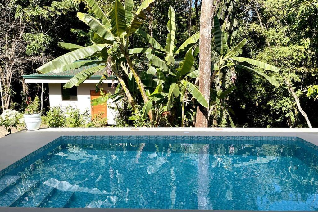An Abundance Of Wildlife At Jungle Glory Home Abajo Manuel Antonio Exterior foto