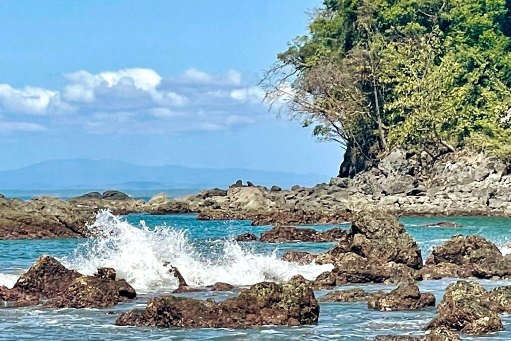 An Abundance Of Wildlife At Jungle Glory Home Abajo Manuel Antonio Exterior foto