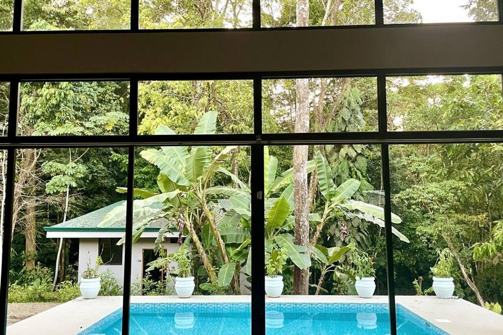 An Abundance Of Wildlife At Jungle Glory Home Abajo Manuel Antonio Exterior foto