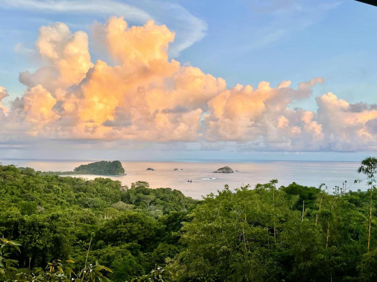 An Abundance Of Wildlife At Jungle Glory Home Abajo Manuel Antonio Exterior foto