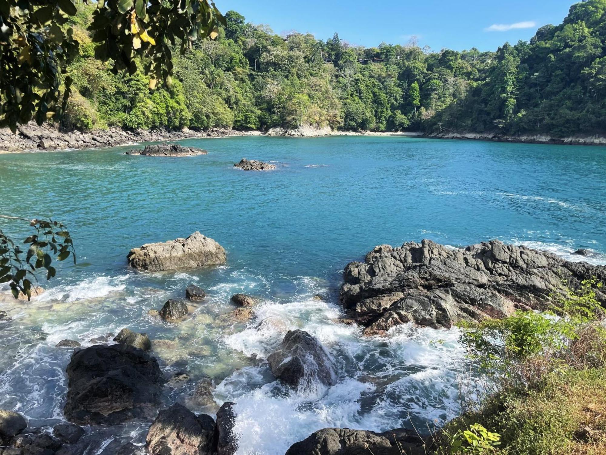An Abundance Of Wildlife At Jungle Glory Home Abajo Manuel Antonio Exterior foto